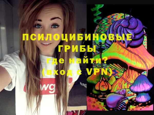 PSILOCYBIN Бородино